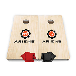 PREMIUM CORNHOLE BEAN BAG SET