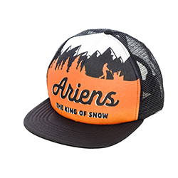 ARIENS SUBLIMATED HAT